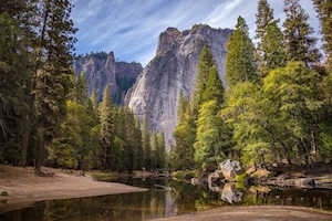 Nature Image 1