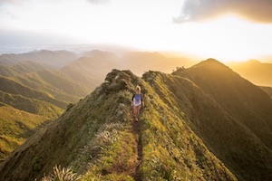 Nature Image 3